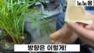 노노몽 발각질 굳은살 발바닥 각질 제거기 보습 패드