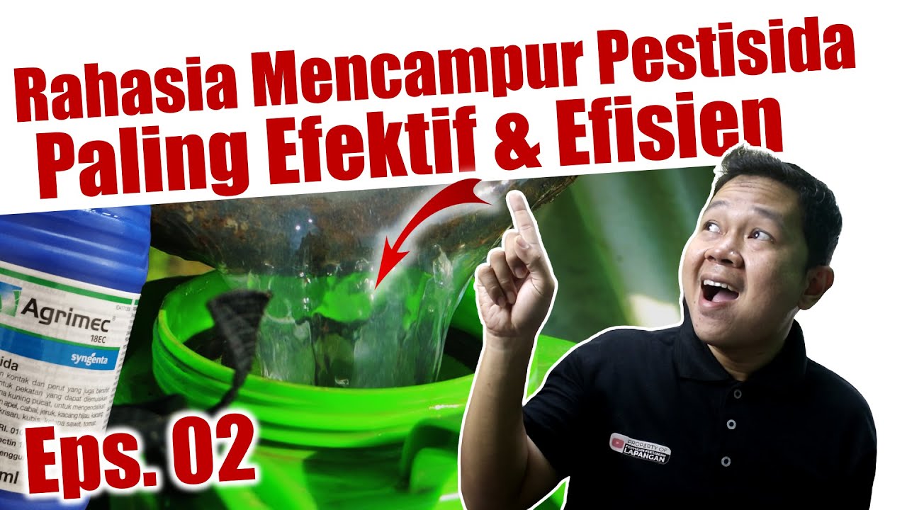 Rahasia Mencampur Pestisida Paling Efektif & Efisien | Insektisida ...