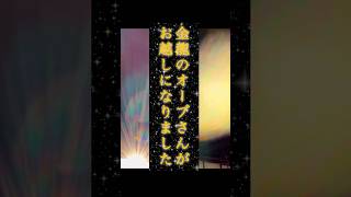 黄金色のオーブは金龍さんだった！！オルゴナイト製作　田ごころ♯金龍♯黄金色オーブ♯オルゴナイト♯優しい世界