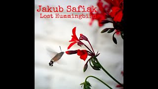 Lost Hummingbird (Instrumental)