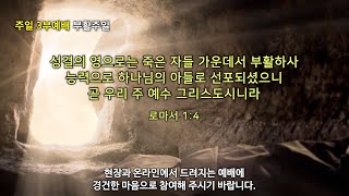 20230409_한신교회 주일3부예배  (실시간) 오전 11:30