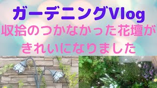 🌹【ガーデニング日記】門扉の花壇に花を追加と収拾のつかなかった花壇のお手入れ