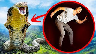 ¿Qué pasa si la serpiente más grande te traga entero?
