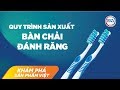 Khám phá sản phẩm Việt | Một chiếc bàn chải đánh răng được tạo ra như thế nào?