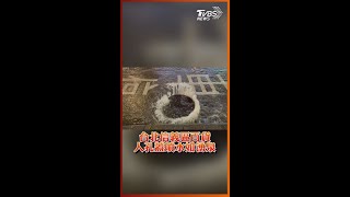 台北信義區百貨 人孔蓋噴水如湧泉｜TVBS新聞 #Shorts