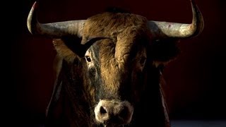 Pamplona bull fighting festival begins