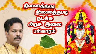 நினைத்தது நினைத்தபடி நடக்க அரச இலை பரிகாரம்| Ninaithathu nadakka arasa illai Parigram