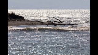 石狩市「はまなすの丘公園」シリーズ　躍動する石狩浜と石狩川河口の波