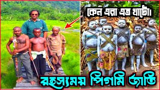 পিগমি মানুষ | পৃথিবীর সবচেয়ে খর্বাকায় উপজাতি | বিস্ময় পৃথিবী | Pygmy people | Bissoy Prithibi |