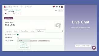 Odoo Live Chat - Pre Chat Form