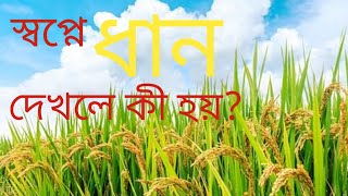 স্বপ্নে ধান দেখলে কী হয়? Sawpne dhan dekhle ki hoy? #alochonaetc