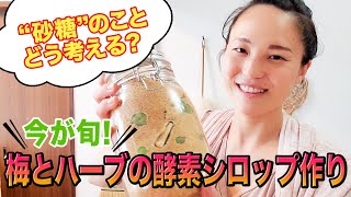 【贅沢！梅とハーブの酵素シロップ作り】砂糖についての考え方もご紹介！ハイパー主婦の日常、公開です♪