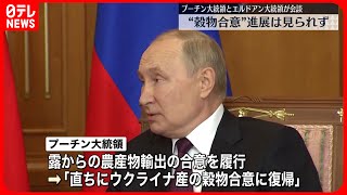 【ロシア・トルコ首脳会談】“穀物合意”進展みられず