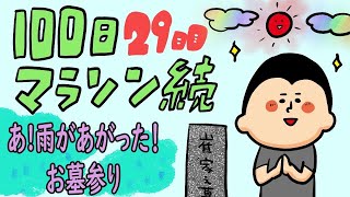 吉兆⁉︎「彩雲」/100日マラソン続〜29日目〜