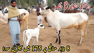 Domail Mandi Fatehjang Latest Update 14 February 2025 (Part 1)