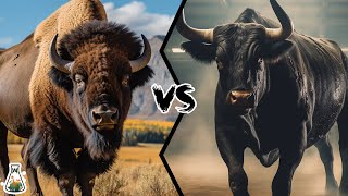 American Bison VS Fighting Bull - Who Would Win A Fight?