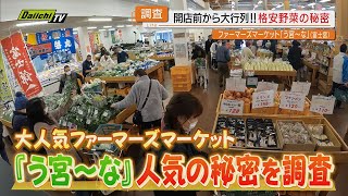 開店前から大行列！格安野菜の秘密【静岡】