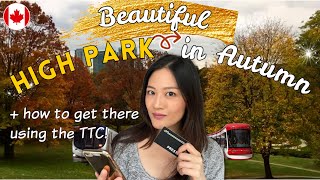 Visit beautiful High Park in Autumn before the leaves are gone! | Living in Canada