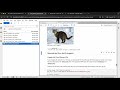 Getting Started with the Vertex AI Gemini API and Python SDK | GSP1209