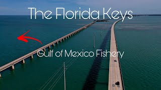 The Florida Keys | Fishing 20 miles into the Gulf of Mexico