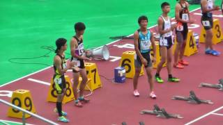 H29年度 学校総合 埼玉県大会 中学男子110mH決勝