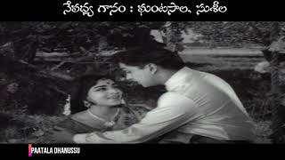 గుట్టమీద గువ్వ కూసింది | Guttameeda Guvva | Song | Buddimantudu (1969)