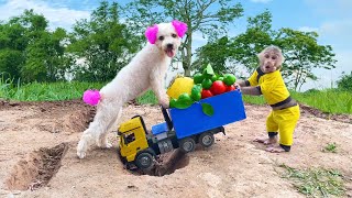 Bu Bu gets stuck in a fruit truck and calls Amee Dog for help