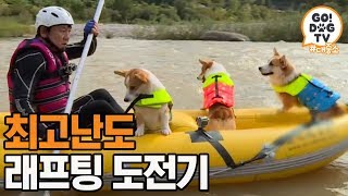 [고독TV] 일촉즉발🚨 국내 최고난도 래프팅에 도전한 주패밀리🚣 | 개밥주는 남자