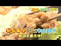 12月27日のもぎたてテレビは「からあげブームがやってきた！！松山で進化中！」