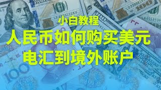 How to wire domestic dollars to foreign banks, white cross-border remittance tutorials