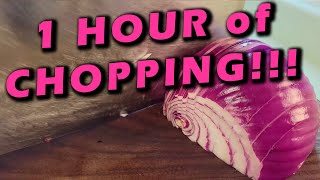 ASMR 1 Hour Compilation #11 | Vegetable Chopping Channel