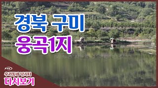 [다시 보기] 우리동네 낚시터 - 경북 구미 웅곡1지 (2014년 6월 7일 방송)