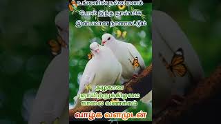 பிரியமுடன் இனிய ஞாயிறு காலை வணக்கம் உங்களுக்கு (Happy Sunday)