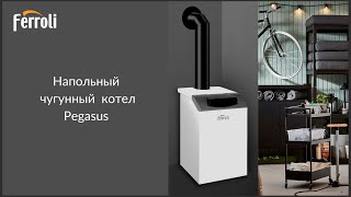 Обзор котла Ferroli Pegasus D