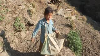 Myvillage official videos EP 264 || Videos footage of village documentary