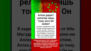 Аллах дарует религию лишь тому, кого Он любит!