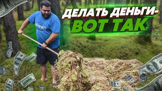 КАК ЗАРАБОТАТЬ МНОГО ДЕНЕГ В ДЕРЕВНЕ?💲💲💲/БОЛОТНЫЙ МОХ НА ВЕС ЗОЛОТА.