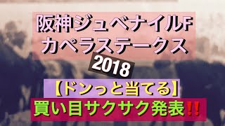 【競馬買い目】阪神ジュベナイルフィリーズとカペラステークス【ぜってぇーに当てたい】