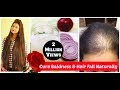 Home Remedy For Baldness & Hair Regrowth DIY|Sushmita's Diaries Home Remedy For Baldness & Hair Regrowth DIY|Sushmita's Diaries