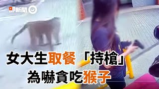 女大生「持BB槍」取餐！全為嚇阻猴子搶食...｜外送員｜高雄｜台灣獼猴