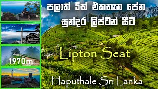 Lipton’s Seat | ALL YOU NEED TO KNOW to visit LIPTON'S SEAT Sri Lanka (Haputale) 🇱🇰 | ලිප්ටන් සීට්