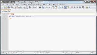 PHP fundamentals: Echo Function