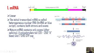 RNAs, Transcription (synthesis) and post-transcriptional modifications