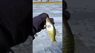 I Tested ICE Fishing Holes 🐟🎣 #fishing