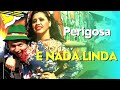 Banda 5 FRITZ/ Perigosa e Nada Linda