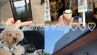 【箱根Vlog】箱根旅行🍂🍁犬連れ箱根🐾♡家族で箱根に行ってきました♡♡♡【旅行Vlog】