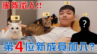 【無敵業配Team EP03】 團隊徵人！ 終於有新成員加入？