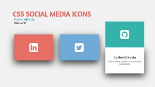 Social Media Card Hover Effect amazing animation on hover html & css