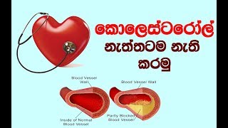 බෙහෙත් පෙති බිබී කොලෙස්ටරෝල් නිසා දුක් විදින ඔබට මෙන්න සුබ පණිවිඩයක්