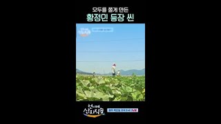 황정민 등장에 다 쫄아버린 멤버들ㄷㄷ #언니네산지직송